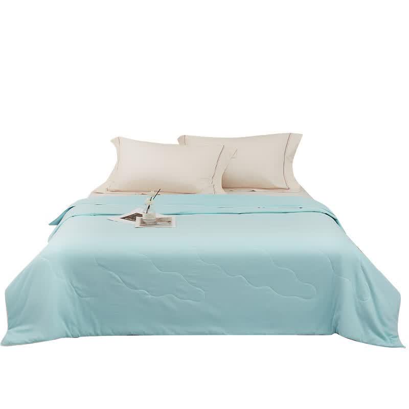 Southern Bedding Mulberry Silk Summer Quilt