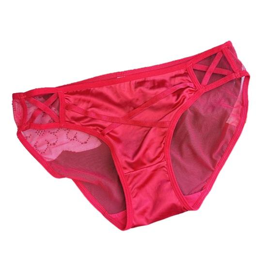 Damen Sexy Transparentes Netz-Unterwäsche Nahtlose Niedrig geschnittene Durchsichtige Slips Weiche Dehnbare Atmungsaktive Slips