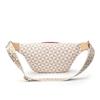 Light Luxury High-end Fashion Fanny Pack Women's Print Retro New Casual Versatile Single Shoulder Dumpling Bag