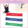 Premium Resistance Bands For Strength Training Yoga Stretching And Home Gym Fitness Equipment