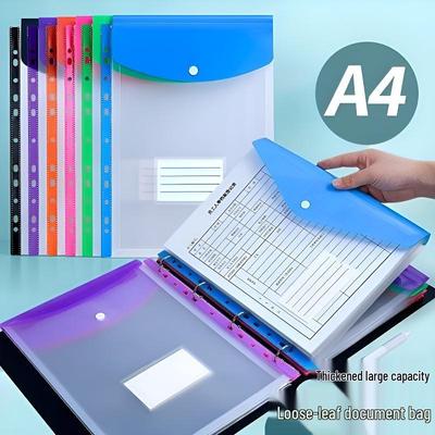 3D Vertikal A4 Transparent Studenten Prüfungsmappe mit 11 Fächern