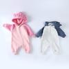 INS Baby Hooded Jumpsuit - Autumn/Winter Long Sleeve Casual Romper for Boys and Girls