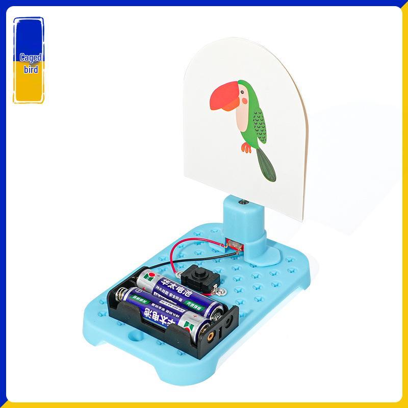 Handmade DIY Student Invention: Electric Bird Cage for Educational Science Experiment