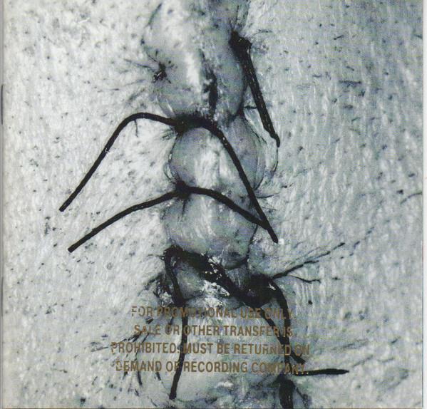 

CD SCHEER - Infliction 9461082 4AD 1996 US Rock Used