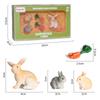 Oenux Lovely Farm Rabbit Bunny Model Action Figure Figurine Wild Desert Cottontail Hare Cute PVC Decoration Education Kid Toy