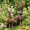 Aged Antique Bronze Long-Eared Rabbit Ornament for Garden and Photos