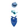 Porch Bird Clothes for 23 Inch Display with Coordinated Hat, Flower Glasses and Scarf for Patio or Entry Display