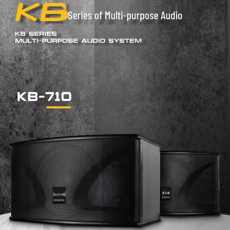 Xun Er Wei Professional Conference & Entertainment Audio-Visual Equipment (CN version)