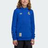 Adidas Originals Comfortable Hooded Sweatshirt Autumn Winter Sports Kids Kids sweatshirt JZ2240