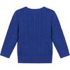 Polo Ralph Lauren Embroidered Logo Crew Neck Long Sleeve Knit Sweater Slim Fit Kids sweater 323702674-080