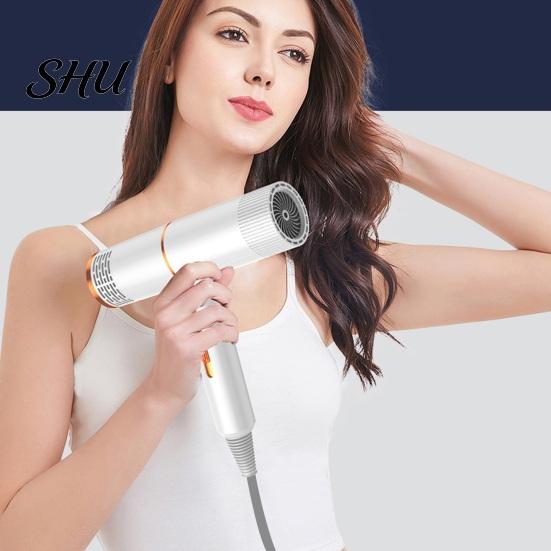 Salon-quality Hair Care Technology Dryer Household with 800W High-Power Blue Light Negative Ion Blow Double Collagen And Protection Women Men for Mute