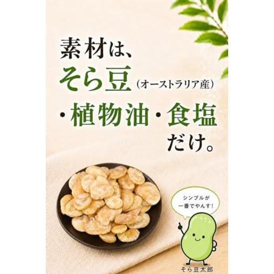 Broad Beans Fried Lightly Salted 350g Large Size Snack Resealable Bag Shinshu Good Things Lab