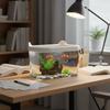 Creative LED Light Desktop Fish Tank Transparent Cat-shaped Betta Fish Bowl Durable Plastic Fish Breeding Tank Ecological Tank