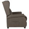 VidaXL Fauteuil Inclinable, Siège avec Accoudoirs et Dossier, Chaise de Relaxation avec Repose-pied, Meuble de Salon, 340953