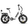 Electric Bicycle Foldable Rattan LF Pro 20" 750W Motor City Electric Bike 48V 18AH Dual Disc Brake Max Load 150Kg Shimano 7 Speed