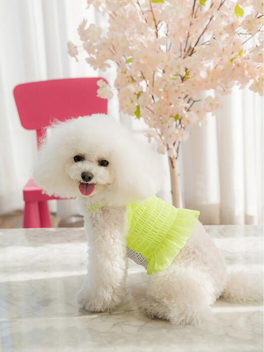 SALTYHEARTY Hello Crop Blouse NEON GREEN