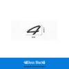 Porsche Executive Boxster & Panamera Electric - English Label
