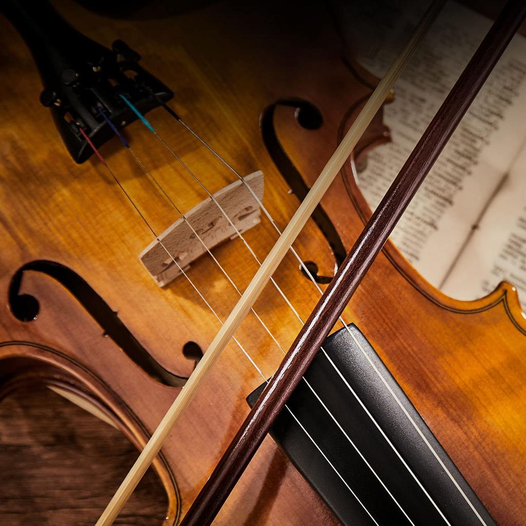 Eastar Violin Solid Wood Violin Set with 2 Bows for Beginners and Advanced Violin Players 4/4 EVA-330