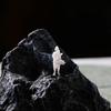 Jianghu Old Friends Knight Resin Bonsai Landscape Miniature Figures