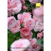Nikon AF-S DX NIKKOR 18-300mm f/3.5-6.3G ED VR High-Power Zoom Lens for DX Format Cameras