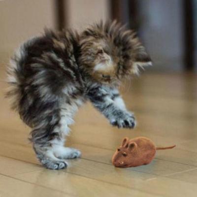 Squeaky Squeaker Sound Chew Toy False Mouse Rat for Pet Cat Kitten Dog Puppy Playing
