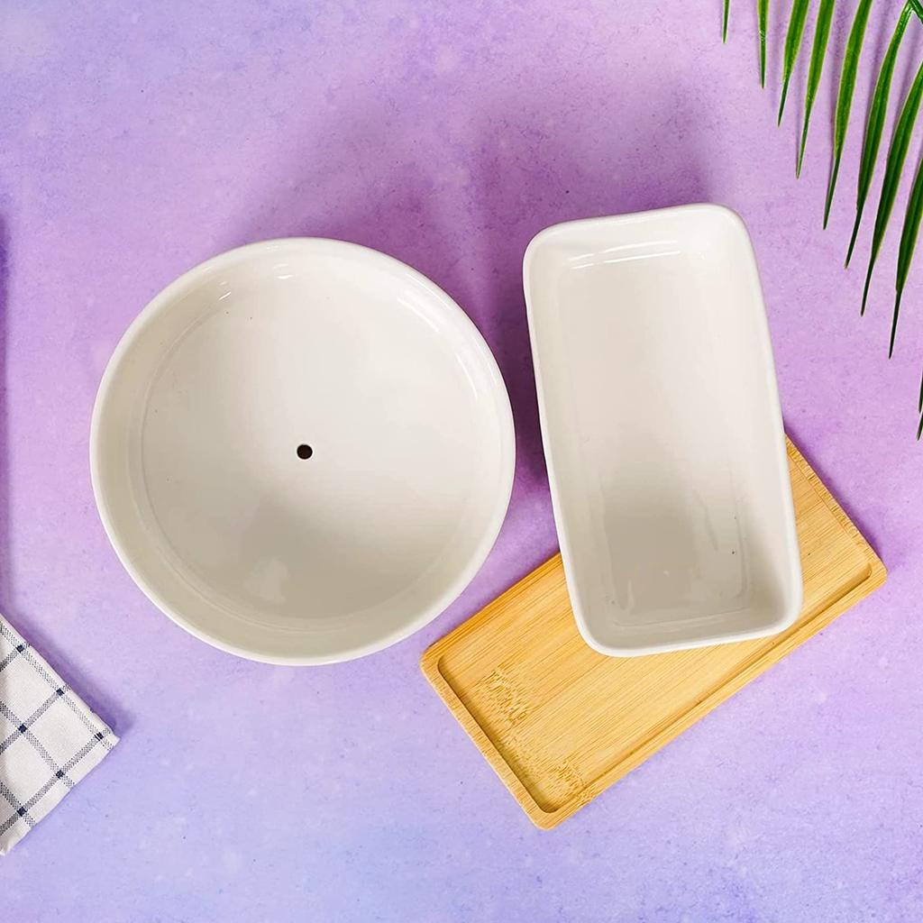 FaceColor Ceramic Succulent Cactus Set of 2 Round and One Mini Bonsai Pots with Drainage Holes and White Suitable for Living and Gardens Not Pots,