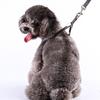 1Set Useful Dog Vest Leash Suit Creative Costume Set for Small Dogs Breathable Comfortable Daily Wear Party Outfit Blue Size S
