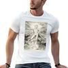 Hd Glad Day Or Morning By William Blake High Definition Tshirt Unisex Tshirt T Shirt Custom Print Tshirt