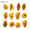 Random 1Pc Insects Amber Gemstone Scorpion Natural Mineral Home Decor Insects Amber Gemstone Diy Hand Crafts Gift