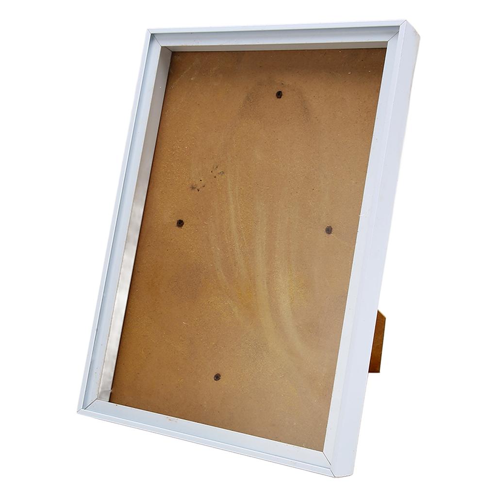 Picture Frame with Bracket Easy To Disassemble Plastic Decorative Photo Frame for Dried Flowers
