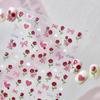 Tomoni Gilded Rose Nail Stickers - Sweet, Stylish Valentine's Day Decorations