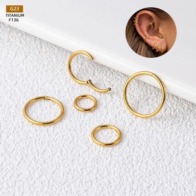 G23 Titanium Alloy Seamless Ring: Popular Closed Hoop Earrings, Nose Rings, and Cartilage Piercing Jewelry for Europe and America.