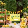 Confezione da 3 Cartelli per Chiosco di Limonata 17''X 12'' Cartello Estivo per Giardino con Picchetto in Plastica Ondulata Bicolore Segni Limon-Ada Lemo-