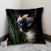 1pc Cat Print Pillowcase (44.96Cm X 44.96Cm) - Featuring a Vibrant Blue-Eyed Cat Design, Made of Soft And Smooth Polyester Short Plush Fabric, Single-