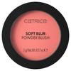 Blush Soft Blur Powder 040 Pink Positive, 5g