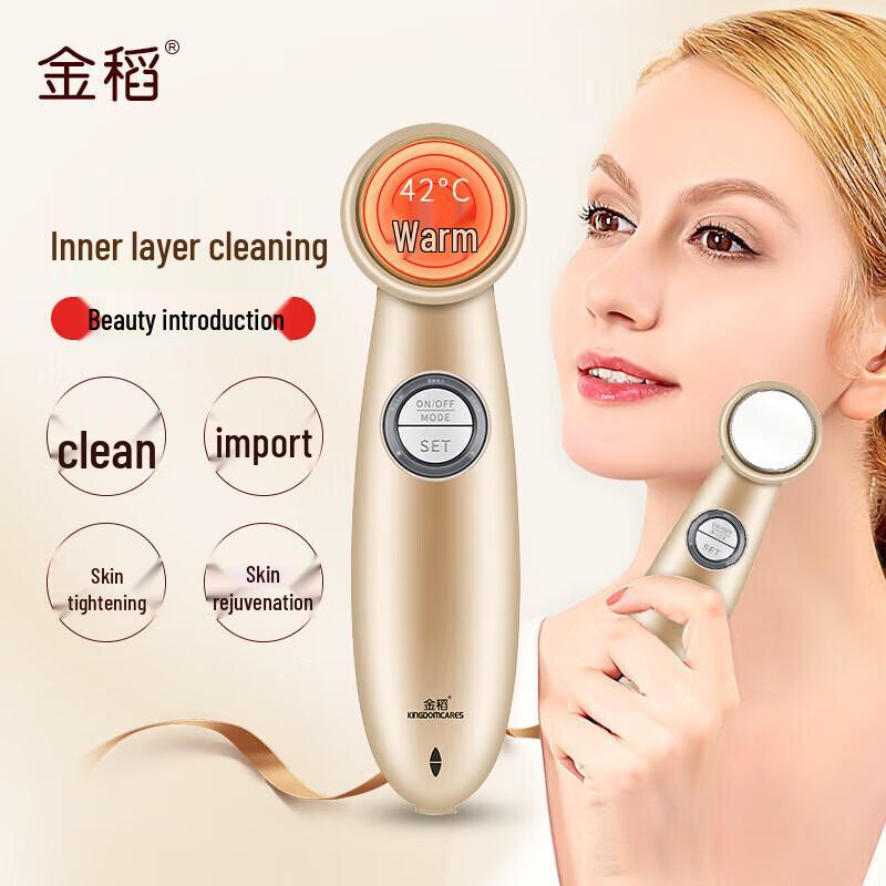 K·SKIN Multi-function Facial Cleansing & Import Device