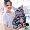 50cm Cute Simulation Three-dimension Cat Pillow Tiger Pattern Plush Doll Toy
