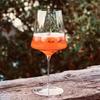 Calice da vino in cristallo di lusso in stile Josephinen di qualità superiore 0,5 mm Estremamente sottile Fatto a mano Impeccabile Coppa da champagne