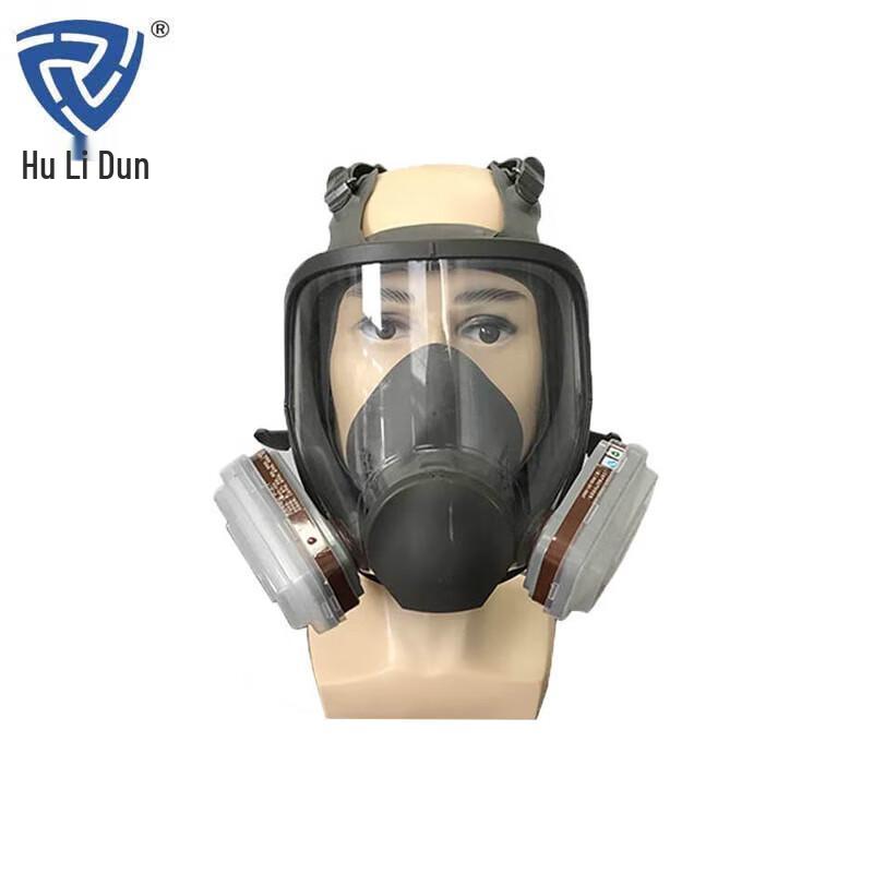 Hulidun CF6800 Full Face Respirator Mask