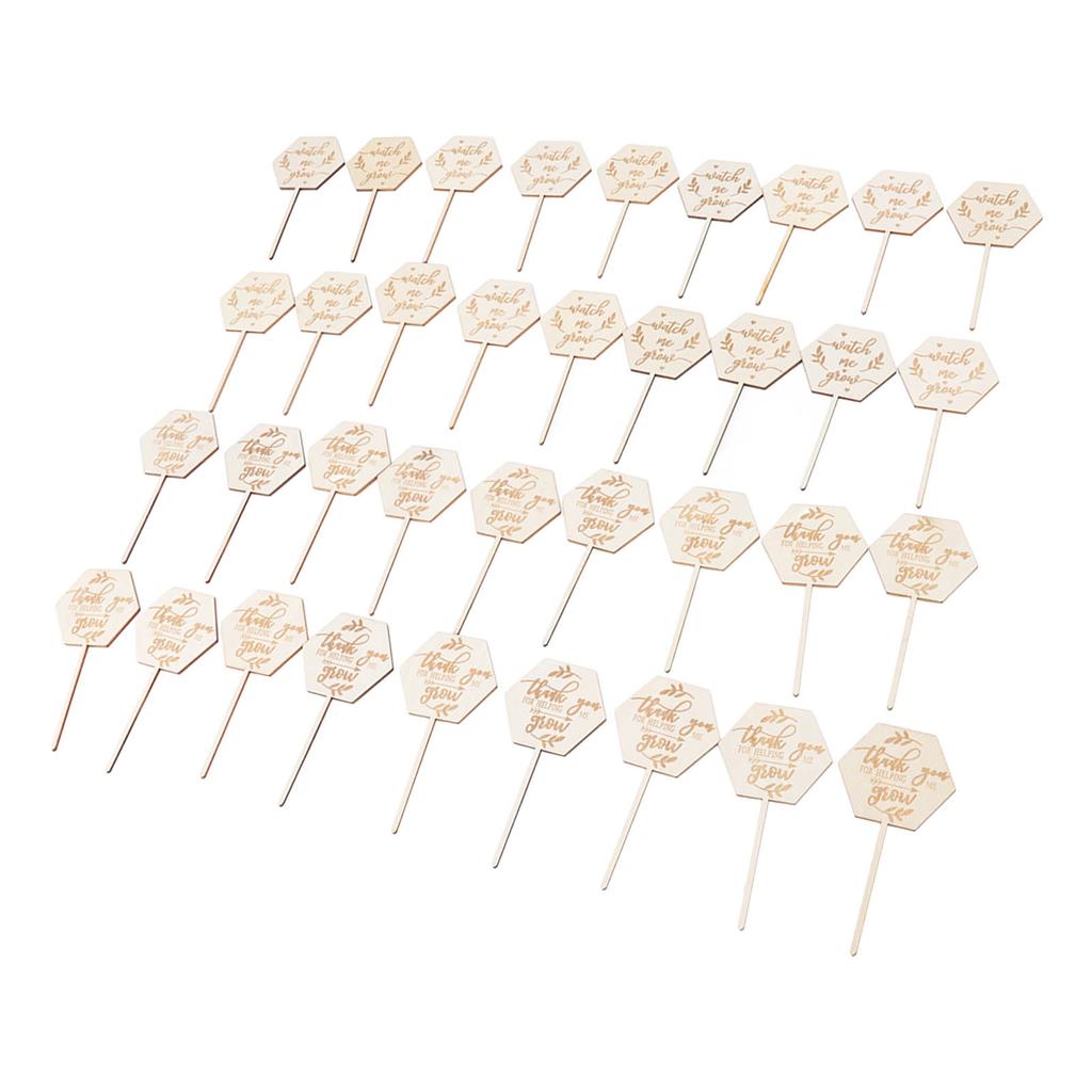 36 st Se mig växa Suckulentetiketter Säkra Miljövänliga Trä Sexkantiga Suckulentetiketter för Blomkruka