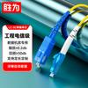 Shengwei SC-LC Single-Mode Fiber Optic Patch Cable