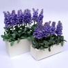 1 Pcs Artificial Lavender Flowers Leaves Bouquet Home Wedding Garden Decor Flowers