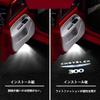 Courtesy Light Door Welcome Light Crown Courtesy Lamp LED Logo