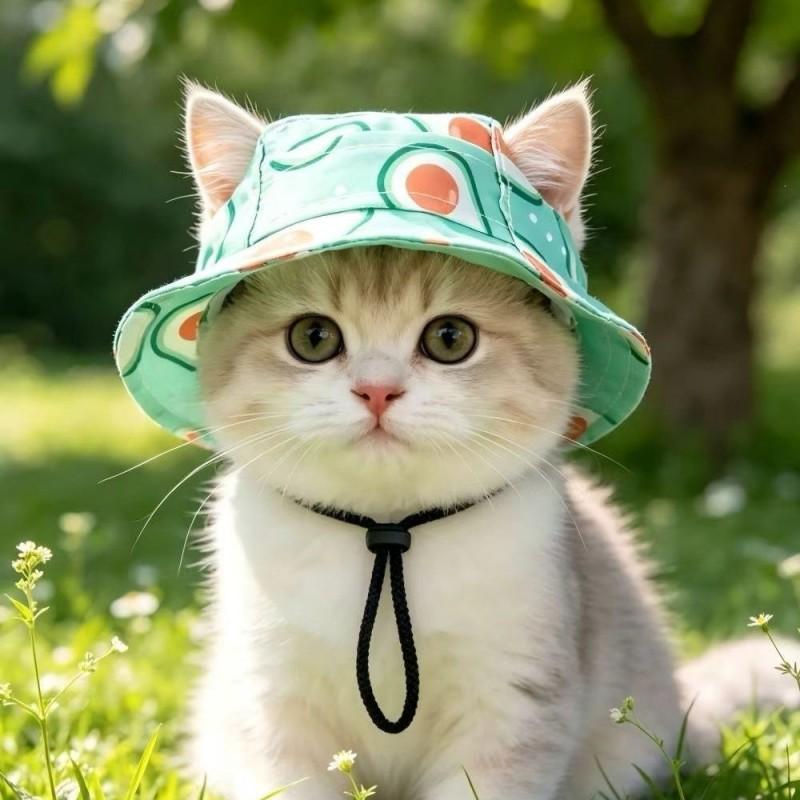 Pet Sun Hat Cats Small Dogs UV Protection Breathable Outdoor Cap With Ear Holes