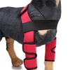 Nuova Ginocchiera Protettiva per Gomito Cane Anti-Leccamento Ferita Morbida Traspirante Sollievo dal Dolore Supporto Spalla Maniche Gomito Imbottiture per Gomito Canino