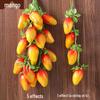 Farmhouse Veggie & Fruit Skewers with Corn, Chili, Garlic, and Peanuts - Perfect for Restaurant Decor