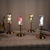 Aeon Flower Acrylic Table Lamp Bedroom Bedside Lamp Ambience Decorative Ornament Touch Switch + USB