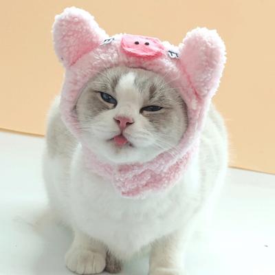 Bandes de fixation en peluche en forme de dessin animé, couleur unie, ultra-léger, aspect Adorable, chapeau pour chien et chat