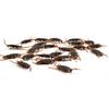 12Pcs Funny Plastic Simulation Cockroach Bug Fly Trick Toy Halloween Party Props