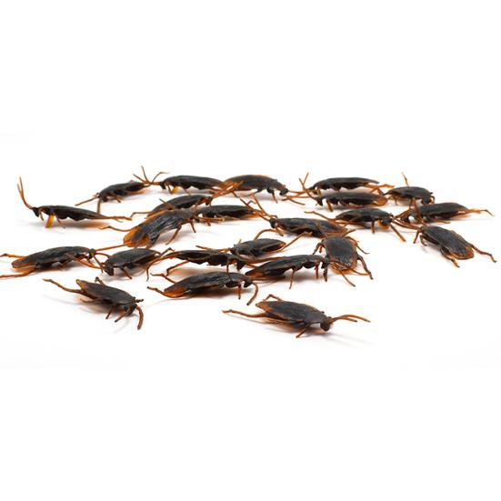 12Pcs Funny Plastic Simulation Cockroach Bug Fly Trick Toy Halloween Party Props